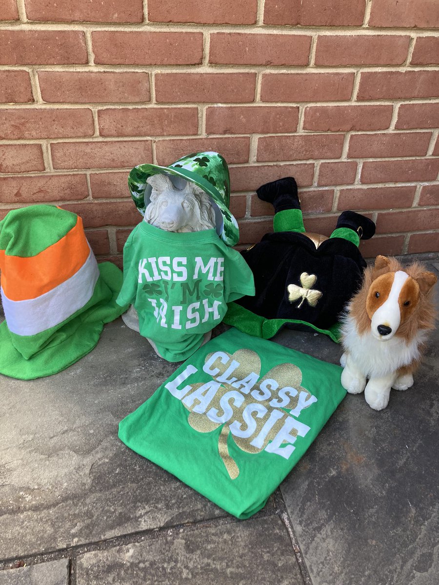 🌈🍀🇮🇪☘️ Happy St. Patrick’s Day from the Rainbow Bridge where I found everlasting peace and a pot of gold! I was asked to bequeath my stunning hats to Concrete Collie, but try as he may he just doesn’t wear them like this Classy Lassie. #HappyStPatricksDay