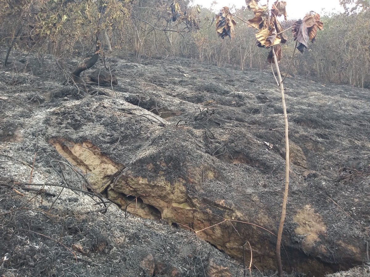 BomberoFarfan's tweet photo. Desde @bomberoscundi informamos que a esta hora,  se encuentra controlado en un 95% el #IncendioForestal  presentado desde el día de ayer en el municipio de #Tibacuy, vereda #ElKairo, cerro #Quinini 
Continuamos de manera articulada en el proceso de liquidación  del mismo. https://t.co/022jtHhwAx