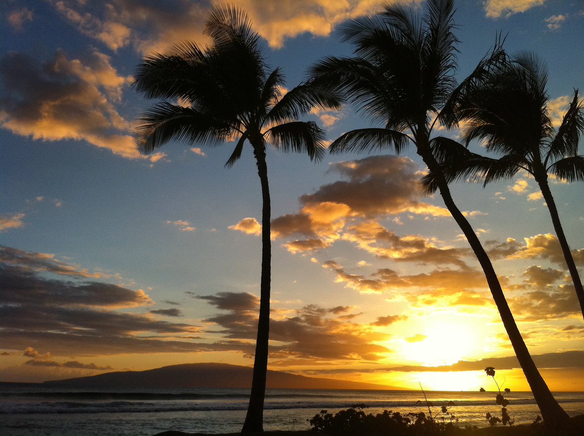 There is no better way to end the day then on a beach in Hawaii! 🤩🌅🌴🤙 #sunsetvibes #onabeachinhawaii #goldenlight #lifeisbeautiful #maui #bigisland #oahu #kauai #honoluasurfco #alohavibessince95