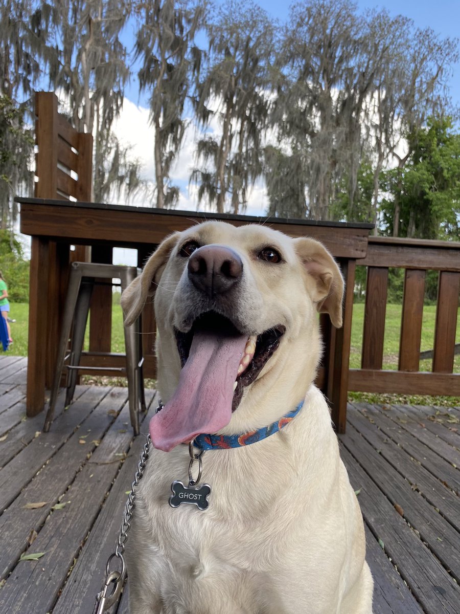 Brit Brat 🖤 tweet media