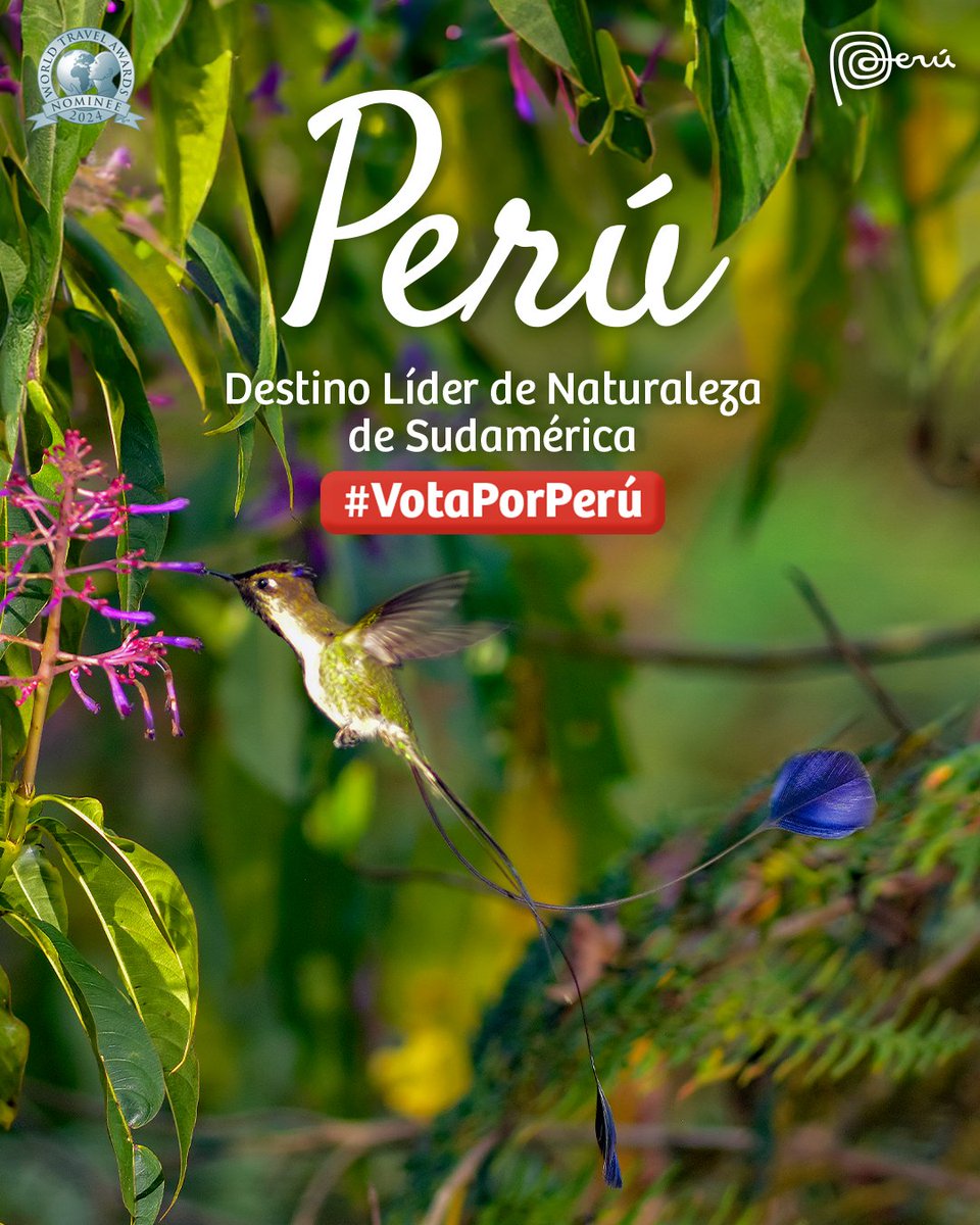 #VotaPorPerú 👉 bit.ly/3UUYOBk
¡Hagamos que el Perú sea el Mejor Destino Natural de Sudamérica en los World Travel Awards 2024! Ingresa al enlace y demuestra el orgullo que sientes por los regalos que nos dio nuestra Madre Tierra. 🇵🇪🌳

#MarcaPerú #WTA2024