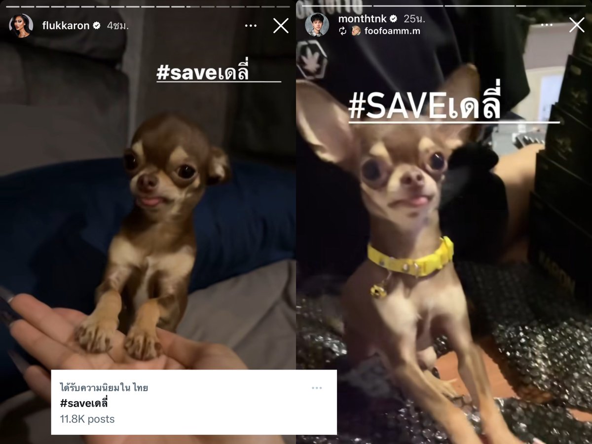 pnps tweet media