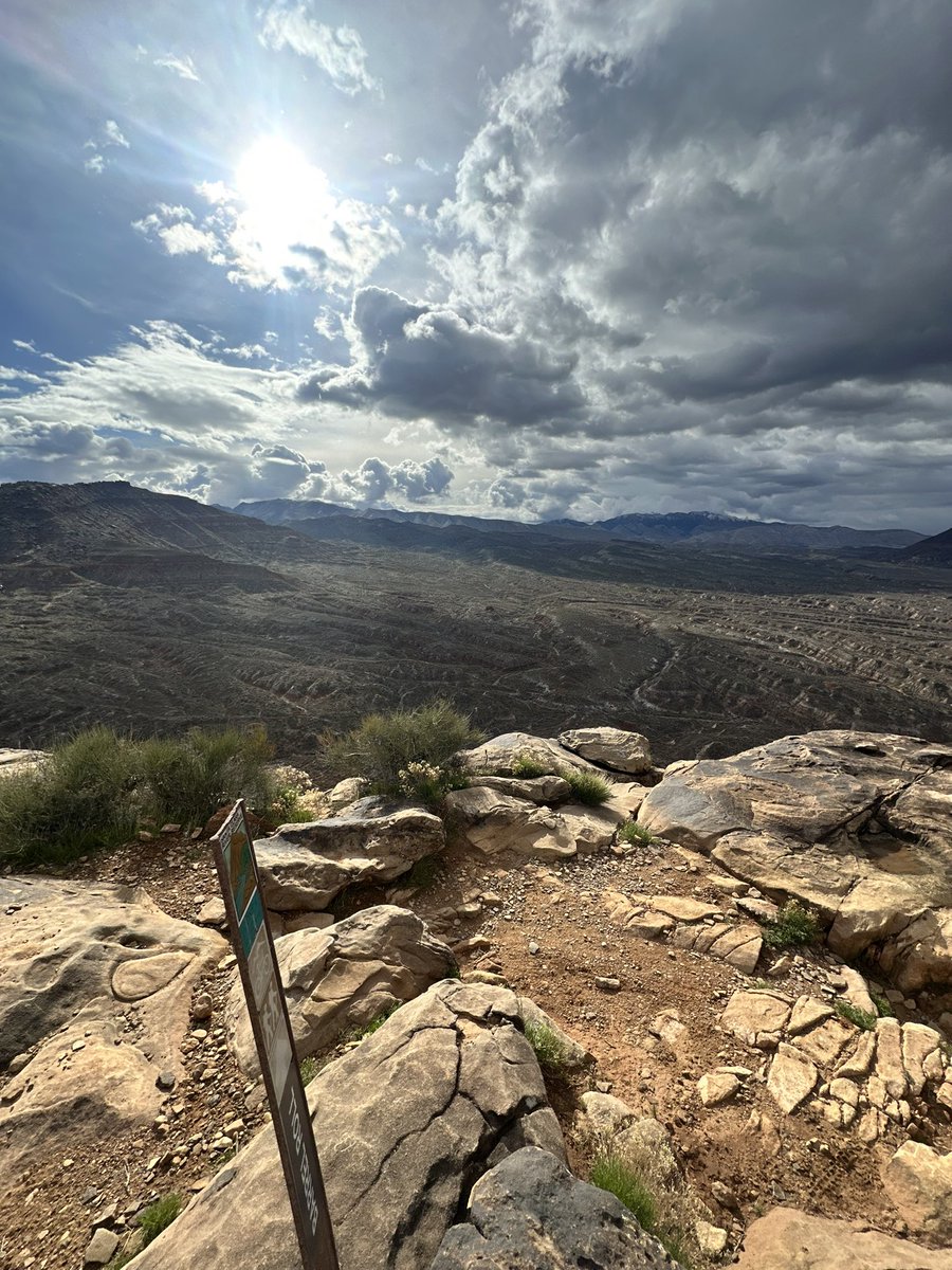 o7Tayy's tweet image. Completed the most physically challenging and demanding thing I’ve ever done yesterday. ~1500 miles on the indoor trainer, focused on macros and learned way more about my body than I ever expected. The race was great and I wouldn’t trade the experience for anything. Til next year