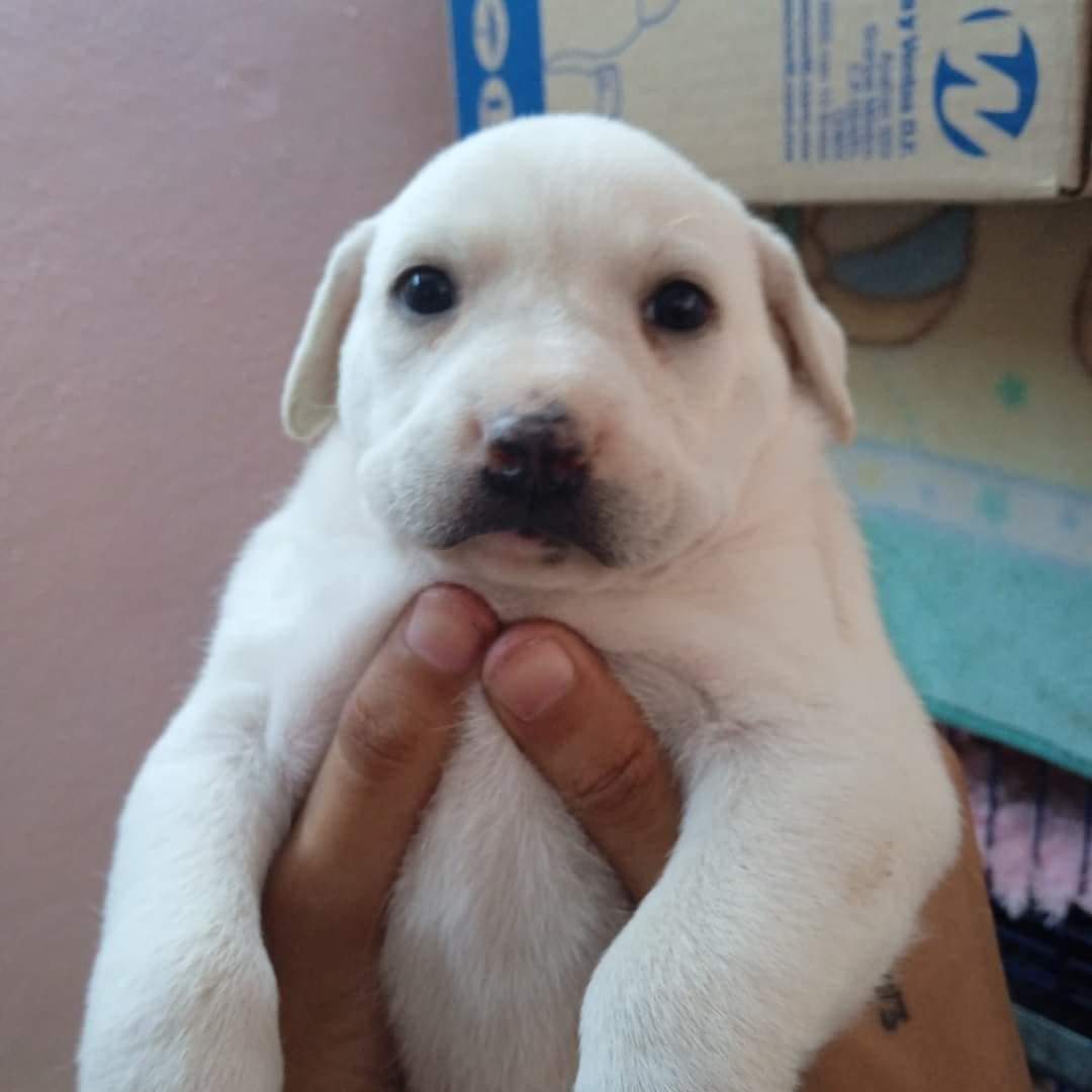 JustWR15 tweet media