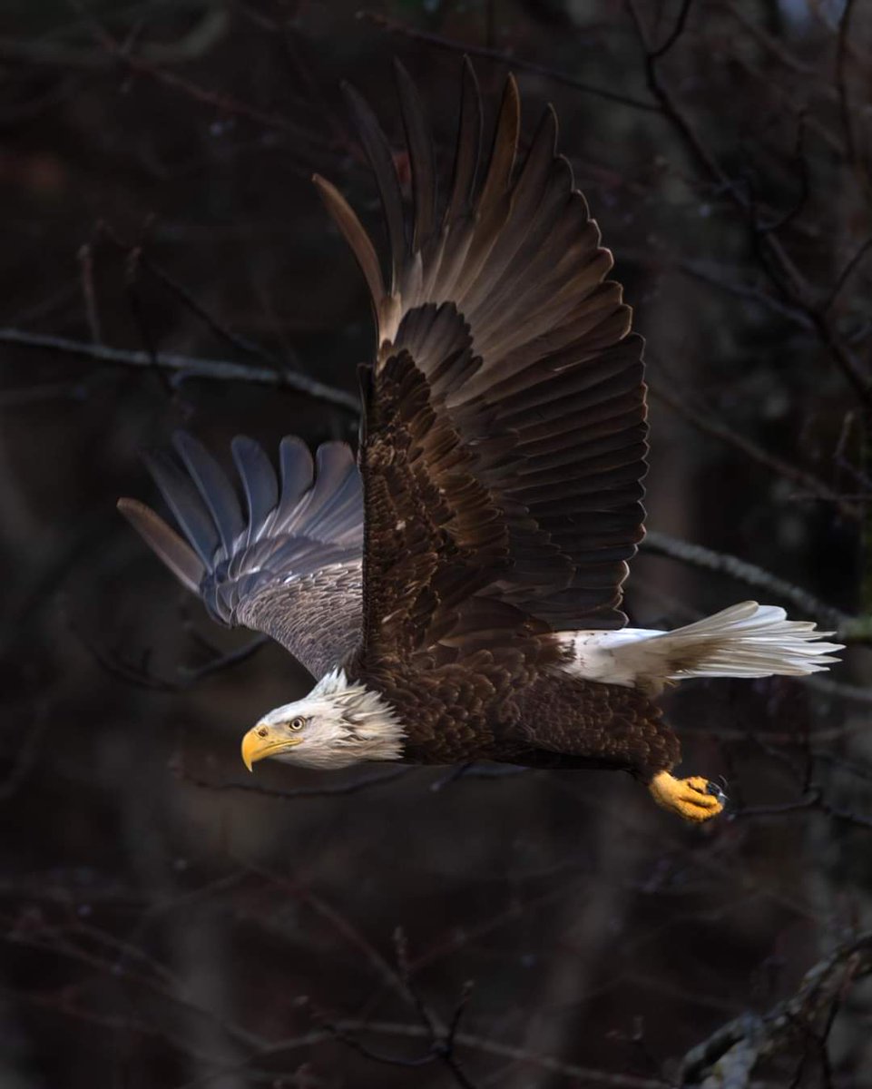 Brandy Meyer (@brandymeyer9) on Twitter photo 