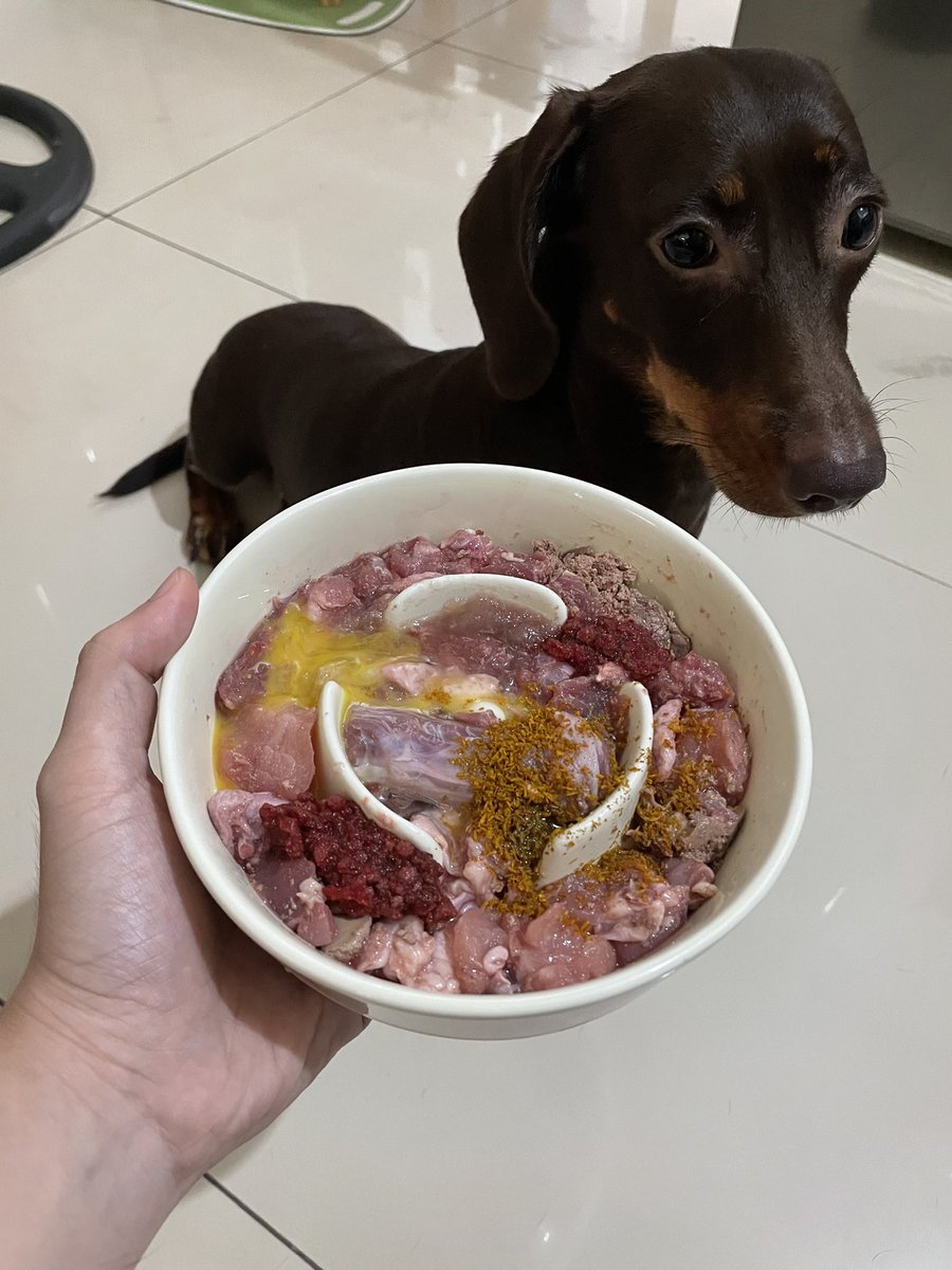 cccubimoi's tweet photo. #rawfed https://t.co/H2iOYxAkbW