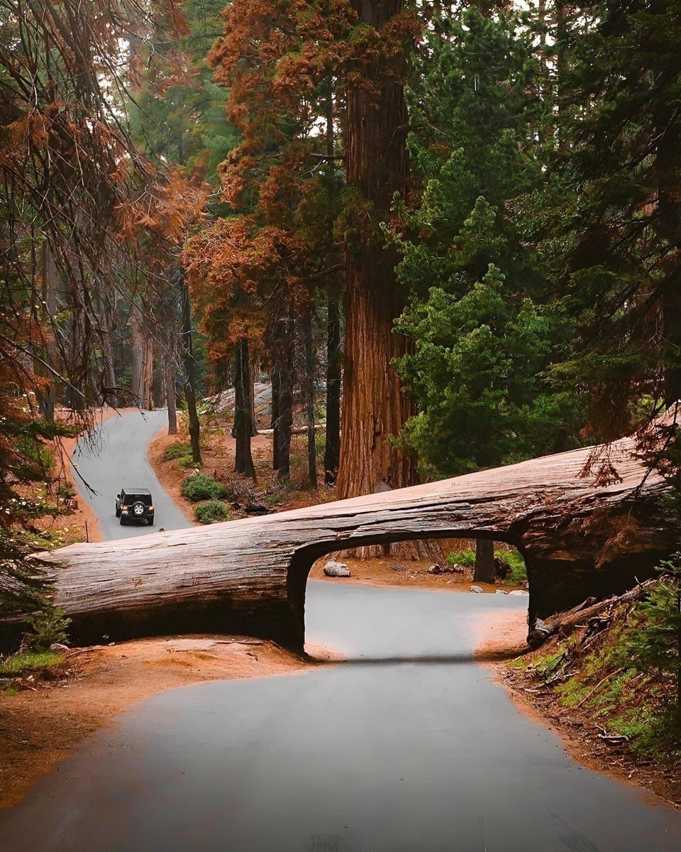 Sequoia National Park