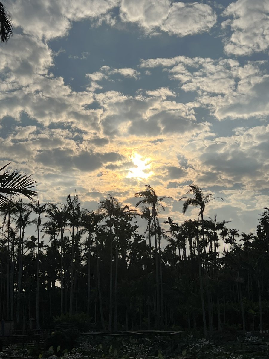 rinachesca's tweet photo. 6月に沖縄ダイビング旅行一緒に行く人？！🙌
DMください🩷
体験ダイビングになる予定なので、今回免許なしでOK！多くて5名までです！
一緒に行きましょー！！☺️ https://t.co/5kdTaBqZ9I
