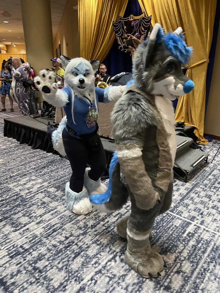 Forgot to upload some pics of me at #furthemore24. The other wolf is <a href="/DGreypaw/">dGreyPaws</a> pictures by <a href="/TouvanL/">Touvan Louihao</a> (except the selfie)

Roll on FTM25!