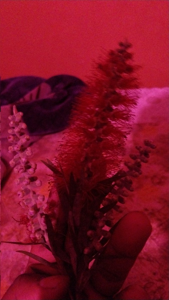 Start your day with  a beautiful smile!☺️
        Good morning 
Have a nice day 🌅