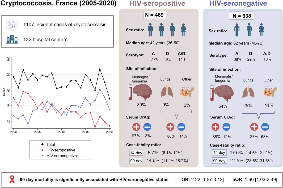 TransplantIDNet's tweet image. There are more cases of #Cryptococcus in those without HIV than PLWH! From @FannyLanternier in @OFIDJournal, pts w/o HIV:
🚨Incidence increasing
🚨Less likely to have +CrAg
🚨Higher odds of mortality

Added by @NeerajaSwamina2 to Cryptococcus 📁

transplantid.net/WCQ4E9BN