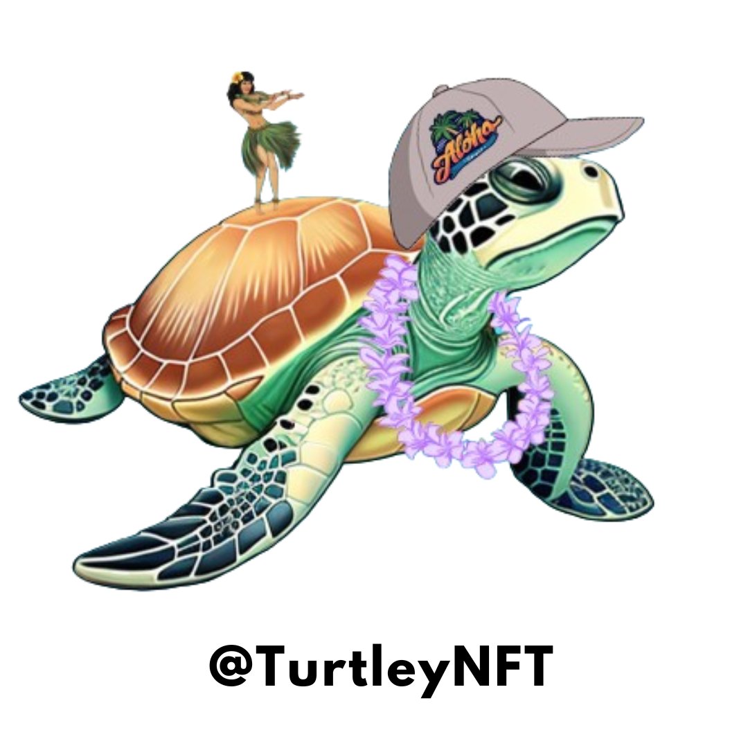TurtleyNFT's tweet photo. Rome wasn't built in a day, and neither was my shell. Patience and persistence are the keys to success. #TurtleWisdom #Motivation https://t.co/CiWDnsmz7w
