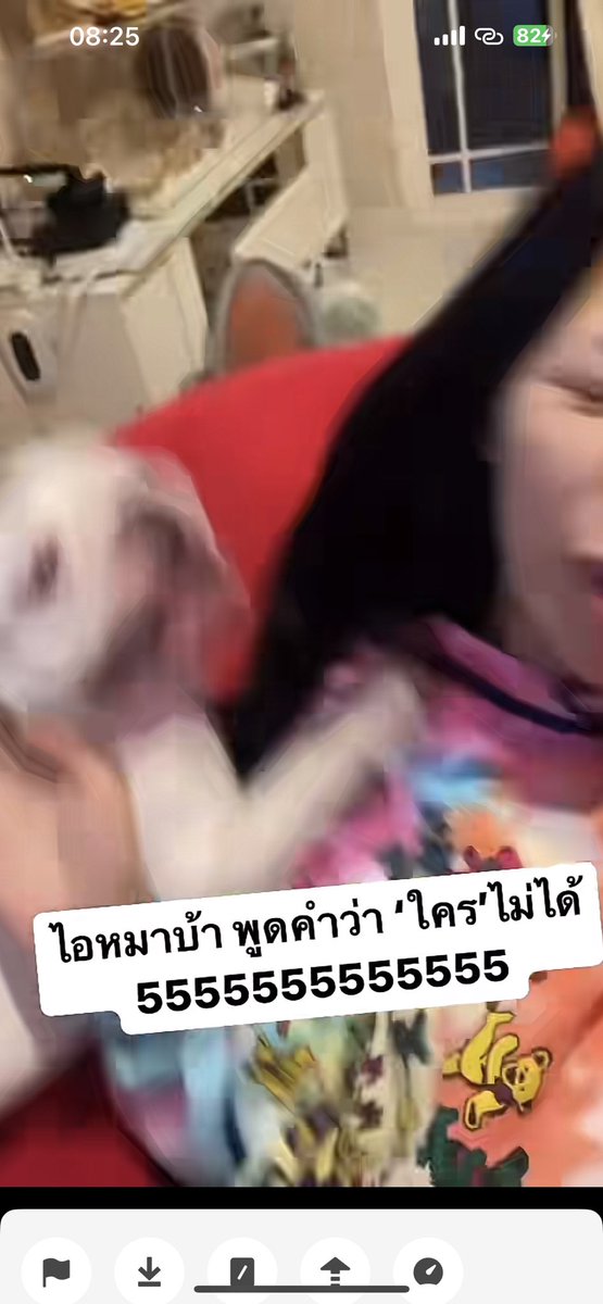 j9_wxan's tweet photo. จากรูปคดี น้องของเดลี่ก็มีคดีติดตัว ตอนนี้ฝอยทองกำลังรวบรวมหลักฐานส่งฟ้องให้ ท่านอัยการเวดวูดค่ะ #saveเดลี่ https://t.co/48ZSnM4Td7