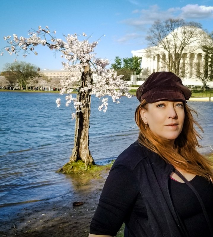 vicequeenmaria's tweet photo. Paid my respects to Stumpy this afternoon, whose scrawny twigs and silky blooms quietly upstaged a monolith year after year after year. #savestumpy #cherryblossoms #sakura #WashingtonDC https://t.co/N9SpvRPPGa