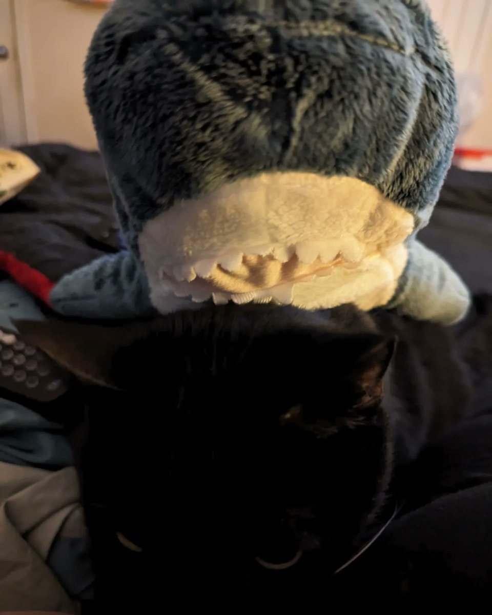 Princess__Fiona's tweet image. Day 77 of #100DaysOfHappy 

The end of Bestie Weekend! Till next time! Had a good visit this morning, and some time with my nephews. Then off to IKEA to buy some stuff for the house, and add to The Sharky Family. 

It was also an amazingly beautiful day!