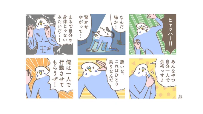 セキセイちゃんはやんちゃしがち 