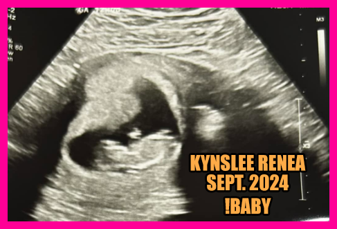 iamunckleb's tweet photo. Had to add this little bundle of joy to my stream layout ;) #twitchstreamer #SmallStreamersCommunity #SmallStreamersConnect #RTSmallStreamers #Retweet https://t.co/b08qVs5c2p https://t.co/hdGEGvXKuS