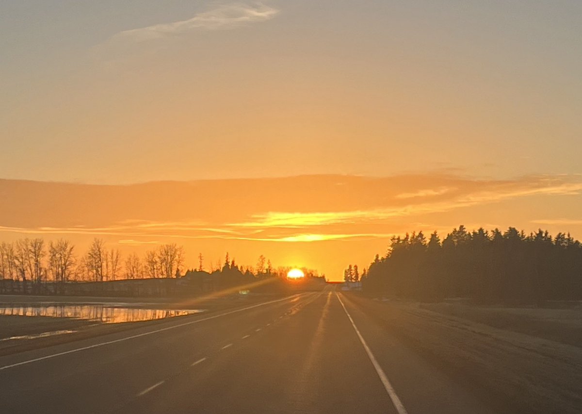 Country roads, take me home ❤️ #thankgodimacountrygirl #hellospring #wintersurvivor