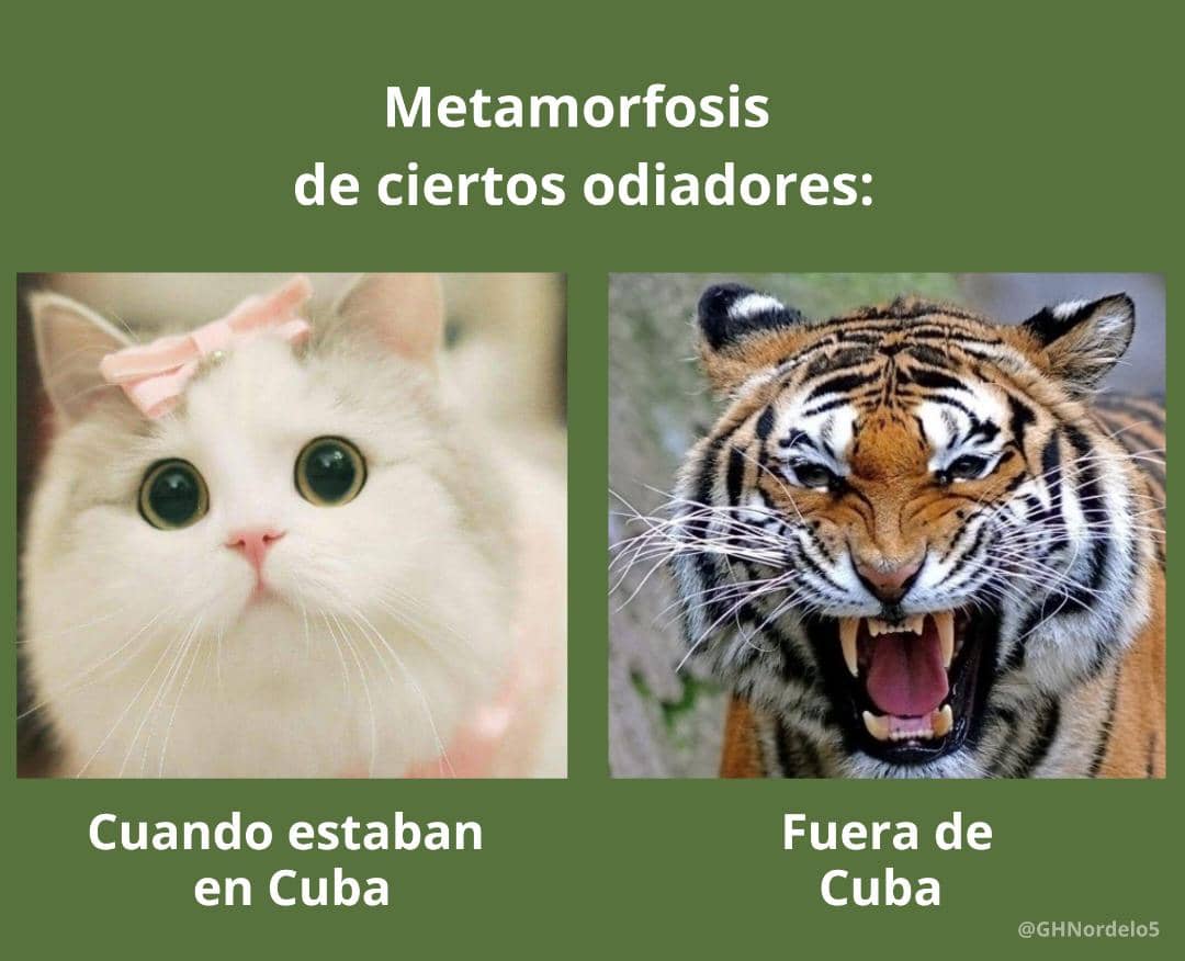 Otra vez los Generales de Butacón de Miami quieren movilizar 'sus tropas' en #Cuba.  Son los mismos que apoyan el bloqueo para que el país no pueda comprar el petróleo que genera la electricidad... iY creen que este pueblo es bobo! #ConLaFuerzaDelPueblo #CDRCuba #UnidosXCuba