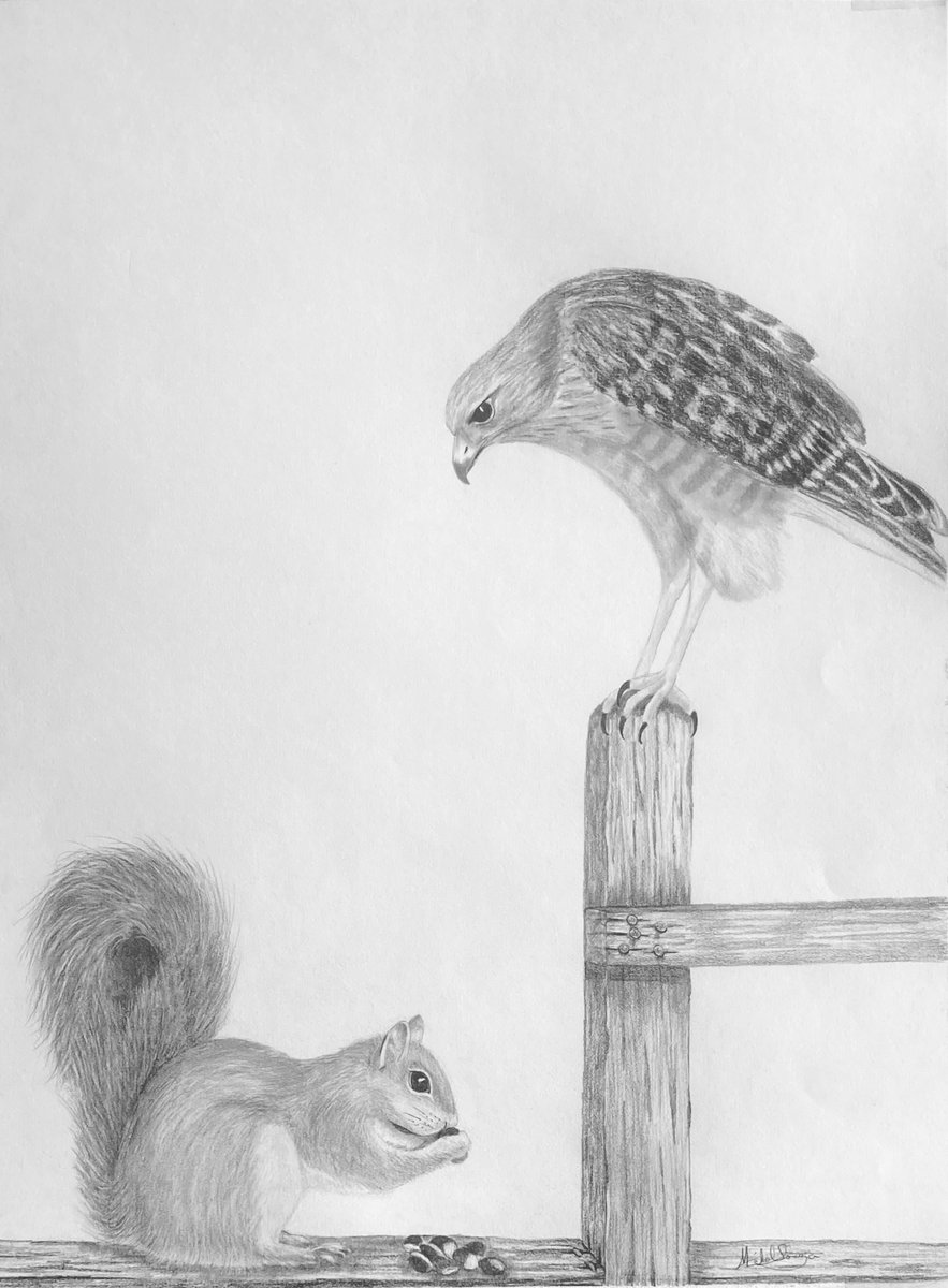 Carnivorous vs. Vegetarian
Why can’t we all just get along????