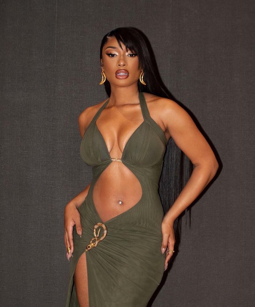 Megan Thee Stallion looks magnificent in new photos.
