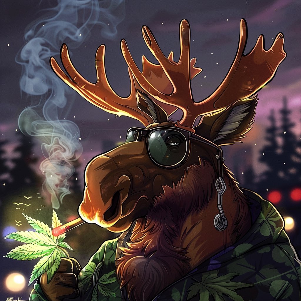 Moose tweet media
