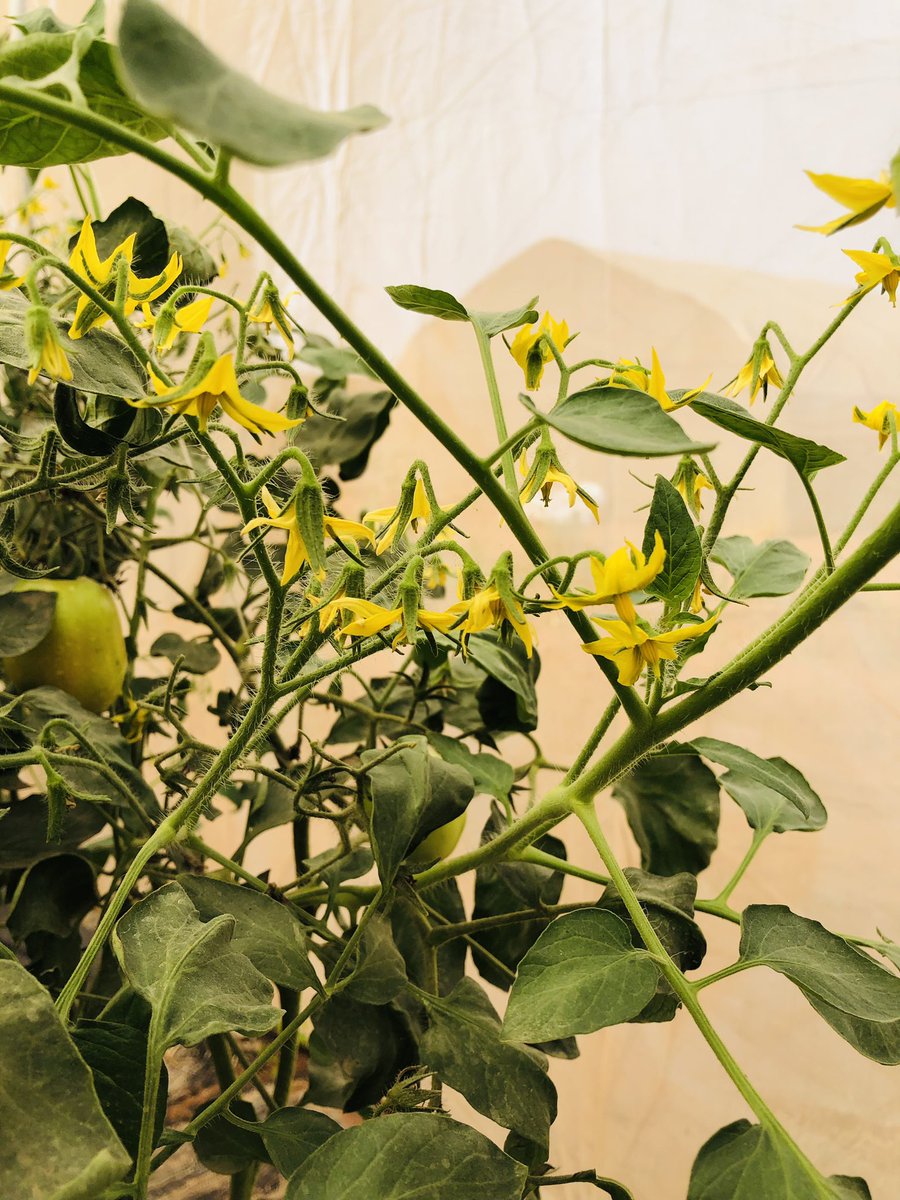 Quad Agrospace tweet media