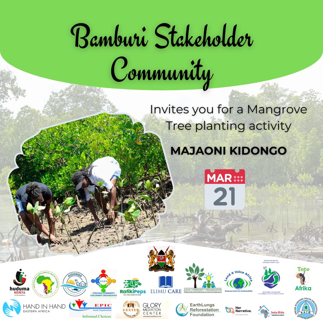 Join the Bamburi Stakeholder community as we make a difference together.Let's come together for a mangrove planting activity at Majaoni Kidongo on 21 March 2024. #MangrovePlanting #Biodiversity #DayoSpeaks