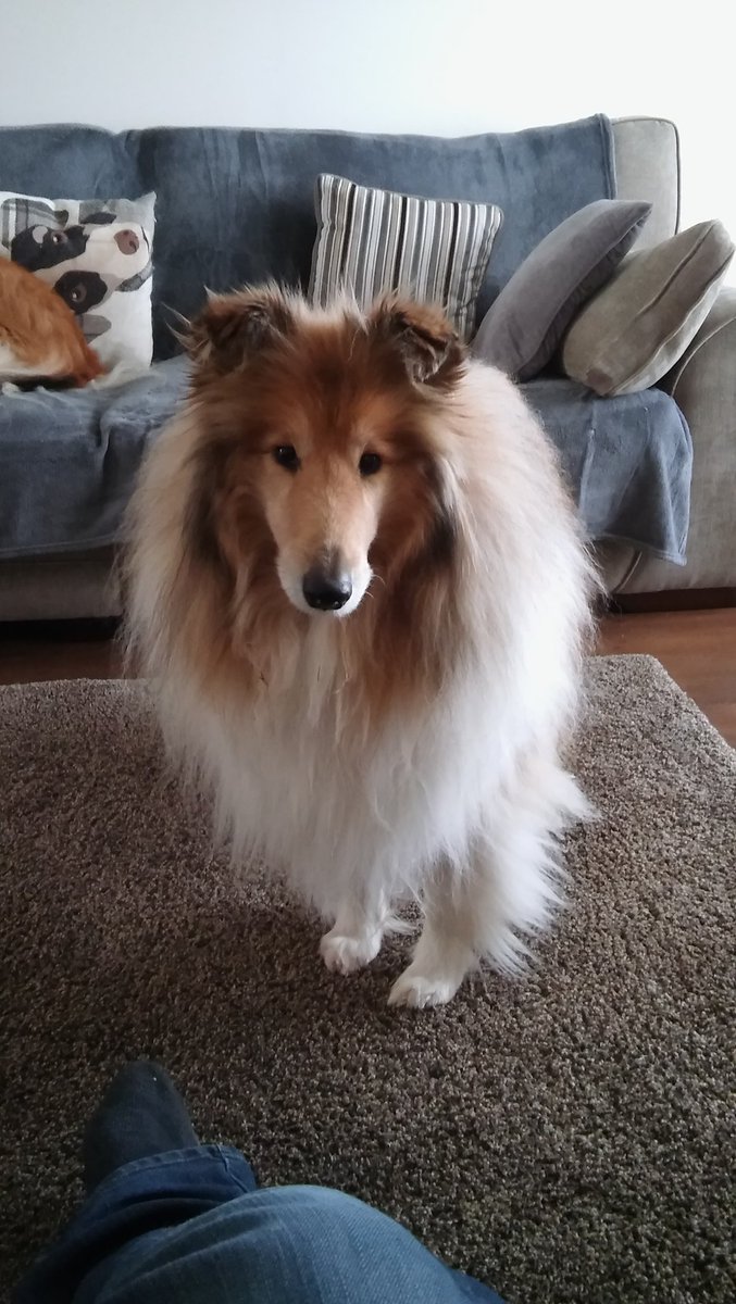 Iain Rae(the painter) tweet media