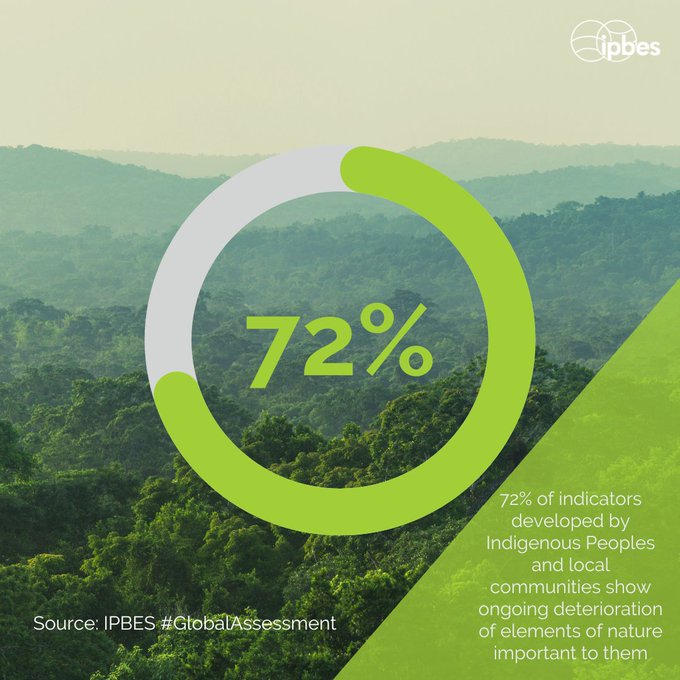 Indigenous Peoples' & local community knowledge is key to protect & sustainably use #biodiversity🌿 

72% of their developed nature indicators show significant deterioration of crucial nature elements on which they depend.🌳—

Via @IPBES #GlobalAssessment #WeAreIndigenous