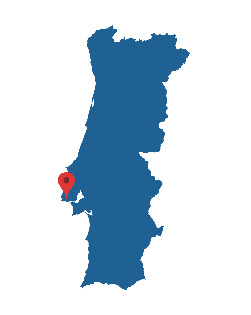 Reeflexproject's tweet photo. Introducing REEFLEX Replicators: Lisbon, Portugal 🇵🇹 Excited to showcase strides made by #SmartEnergyLab with the Living Energy replicator! 🌐 Cutting-edge living-buildings + cloud-based platform = unprecedented energy insights!💡 Learn more: 👇
https://t.co/oUDWurCs4M https://t.co/BfwXcSzhz8