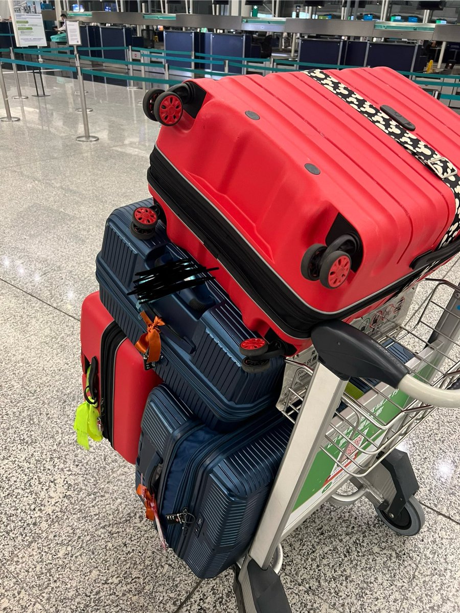 whippetsal's tweet photo. Honkers, my time has come. 
I’ll see you soon for a visit ❤️

………………

Thanks to you, i’m much obliged
For such a pleasant stay
But now it’s time for me to go https://t.co/12Cgy6uDC6