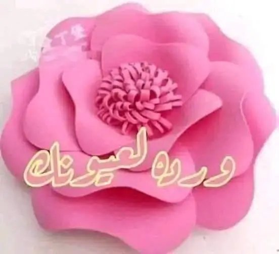 RhfAhmd20340's tweet photo. @Sarah25sara فنتظارك https://t.co/H5LQp8iEK1