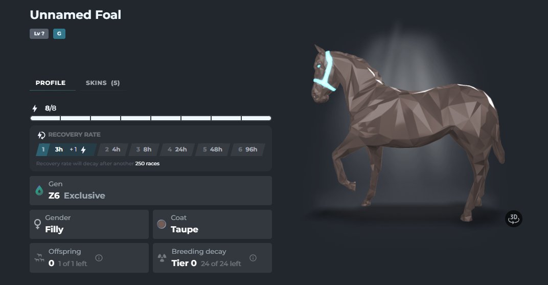 BizCoin01's tweet image. "The Autumn Sun" x "Insane Hammer" Filly ready for the next Maiden!
#zedrun #nakamoto