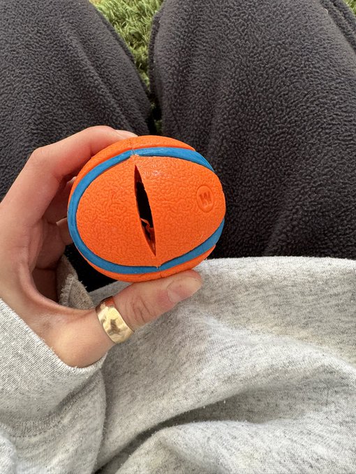 are these chuck it brand balls the only ones that stand up to bully breeds without making their gums