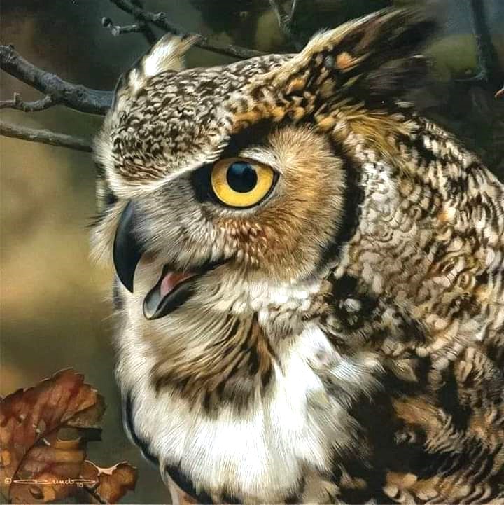 WegeWolfgang's tweet photo. Moin, 3 Grad bewölkt windig.  Katzen und Vögel gefüttert. Frühstück für meine Ma steht bereit. Der Kaffee ist fertig. Timeline auf. Die deutschen Handballer haben die Olympia-Qualifikation geschafft. Eine der wenigen guten Nachrichten. Kommt gut und sicher in die Woche.☕️🦉 https://t.co/DK8rSRzZIG