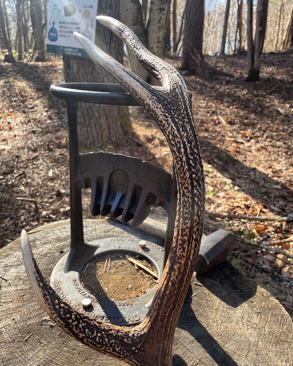 テントサイトの落ち葉の中から鹿の角が出てきました🦌
サイトの真ん中でポロっと生え替わったんですかね☺️

#キャンプ #オートキャンプ場 #キャンプ場 #鹿 #ソロキャンプ #ファミリーキャンプ #アウトドア