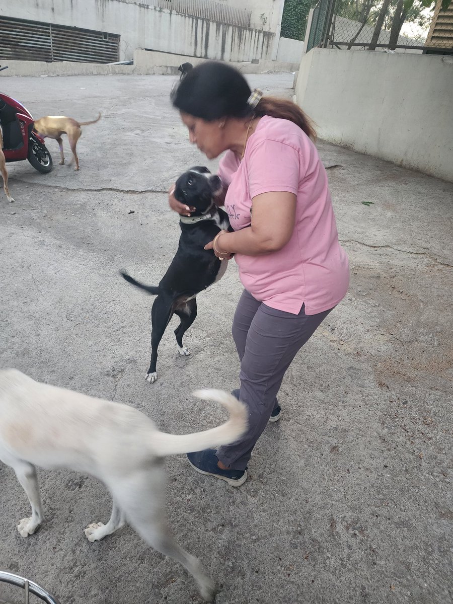 MamtaAgr301172's tweet image. Look at the Ugly face of Amanora Management on the community dogs.

They are spreading Haterd &amp;amp; stopped their Feeding through Fake information &amp;amp; news about the Community Dogs as well the feeders