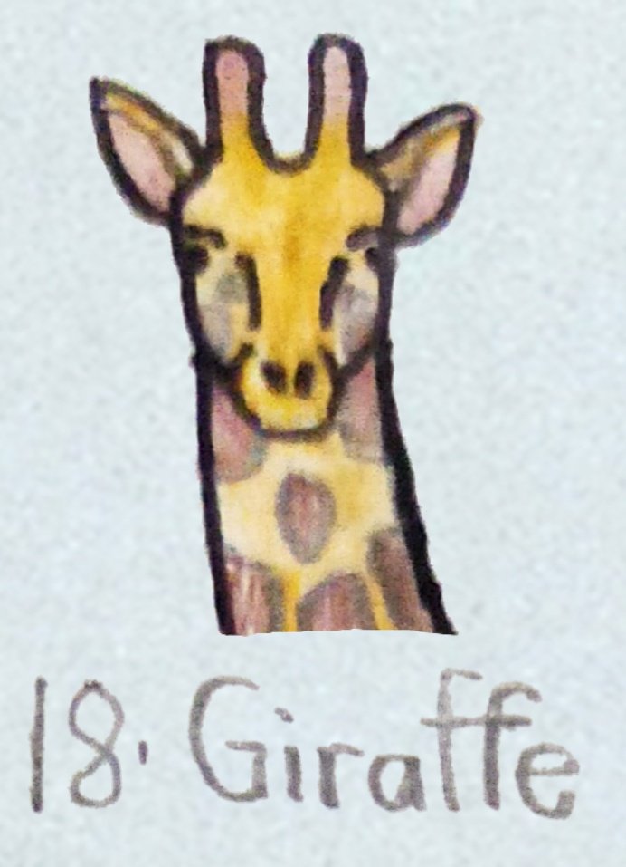 torm28's tweet photo. Day 18 Giraffe
The tallest beast of Africa.
#Marchofthemammals2024 #Giraffe #Drawanimals #Zoo #Wildlife #Art #Mammals #Africa https://t.co/psHwxZ1kgy