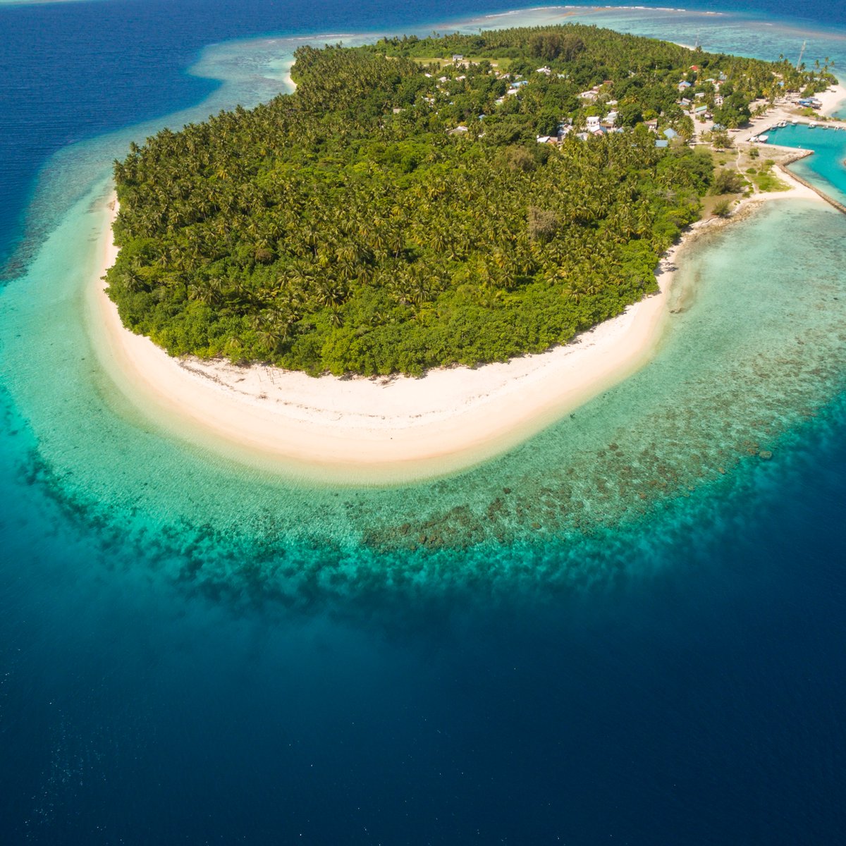 Escape to paradise on the Maldives islands: where every moment feels like a dream come true. 🌴☀️

#islandrooms #staylocal #maldivesgetaways #visitmaldives