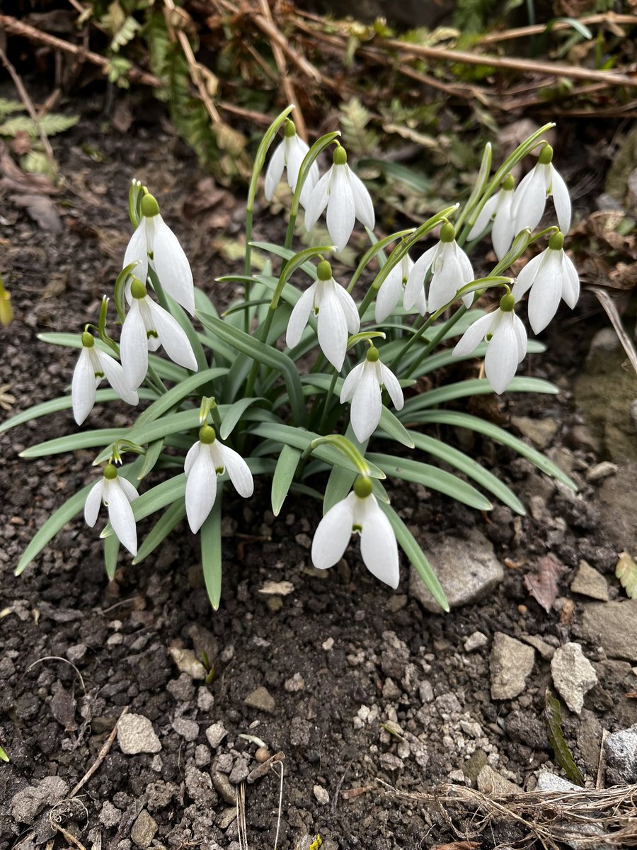 ElenaShostak1's tweet photo. Good morning.
I've been absent for a while. Sometimes I need information detox that I donβt get crazy.
This war life experience is still a challenge. But spring is close to us.
Wish you a good start of the week.
#inUkraine https://t.co/KmJwOGlVZr