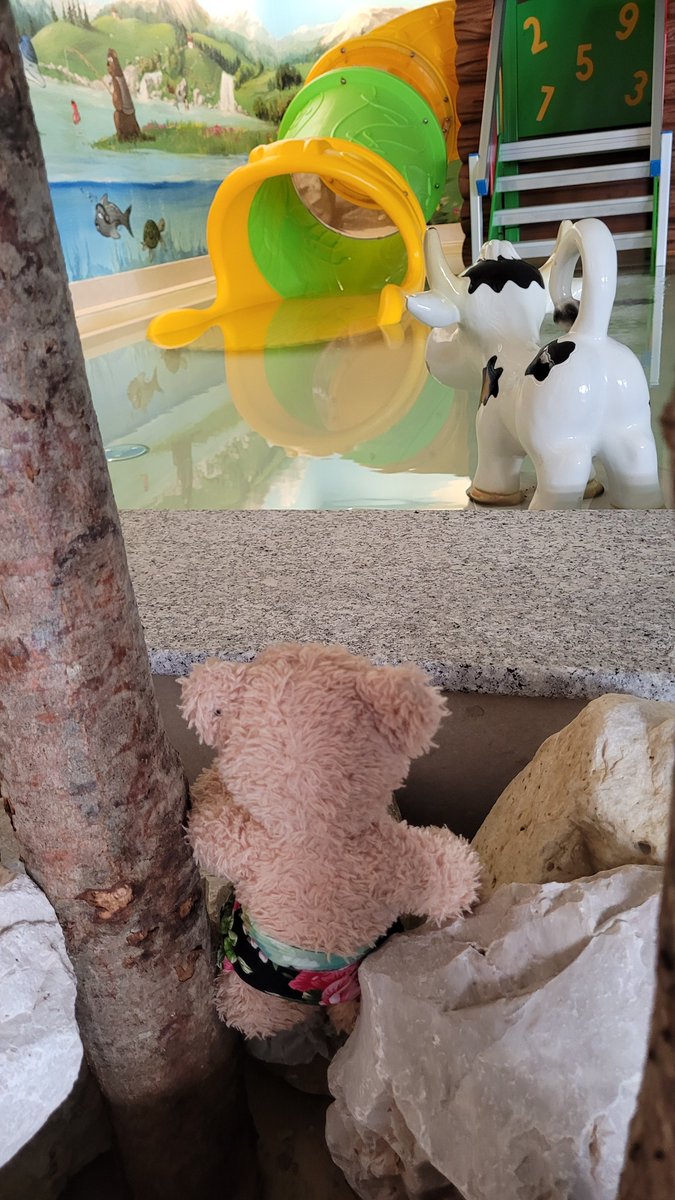 OOOh! What's this? A slide! That looks fun! #Flynn #FlynnTheBear #Corvana