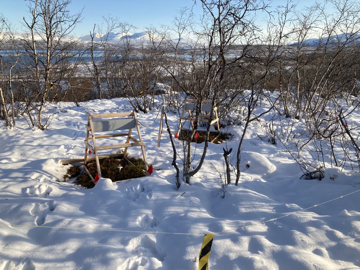 Do you want to find out how #soil #microbial #communities will respond to #global #warming? Are you fascinated by the ability of #microbes to run the #global #biogeochemistry? We are looking for a #PhD #student! lu.varbi.com/en/what:job/jo…