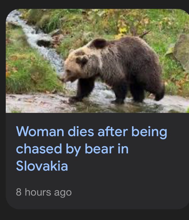 Woman dies after being chased by bear in Slovakia