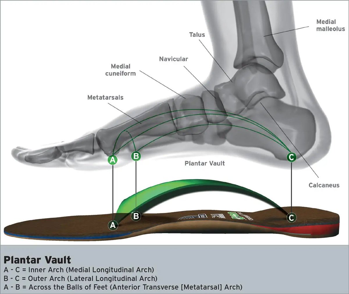 👣 Say goodbye to generic insoles and hello to custom-made comfort with Foot Levelers! 🌟

Read full post 👇
shoutout.wix.com/so/f8OvGQrAm?l…

#CustomOrthotics #FootHealth #UniqueFeet #CustomComfort #FootLevelers