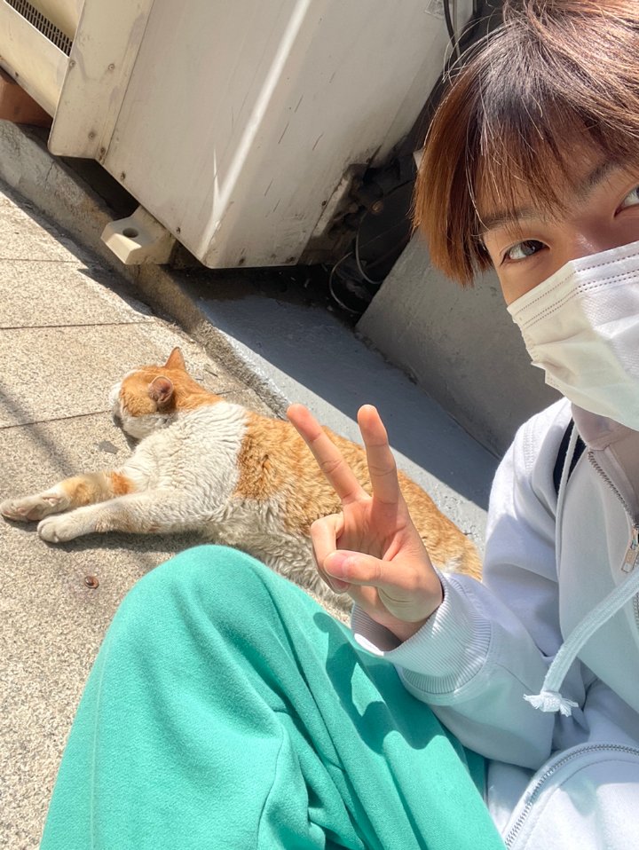﹒۫ ⟢˳　͘m𝚒　*𝕣a⃨e　· tweet media