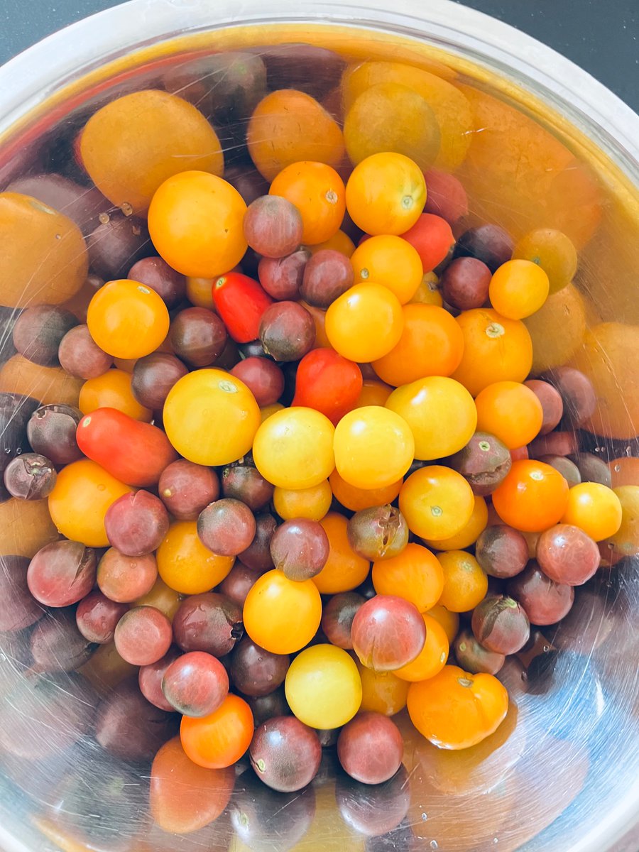 @gingergorman tweet media