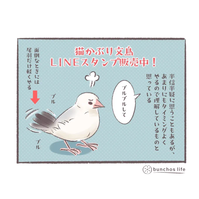 🌸猫かぶり文鳥のLINEスタンプ販売開始しました!よかったら見て行ってください✨
↓↓↓
https://t.co/8Q7BRvHyGS 