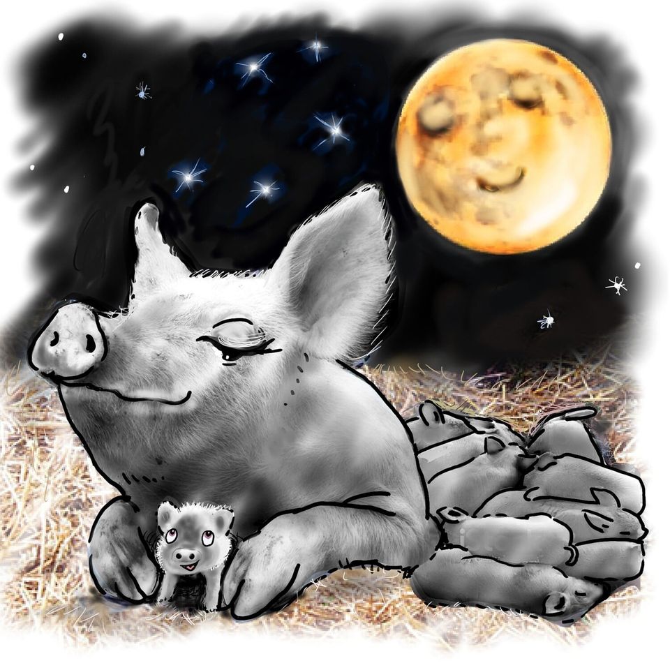 A moonwishes magic adventure picture book.

amazon.com.au/LUNA-MOON-PIG-… #moon #space #stars #animals #trails #birds #KindnessIsMagic #picturebooks