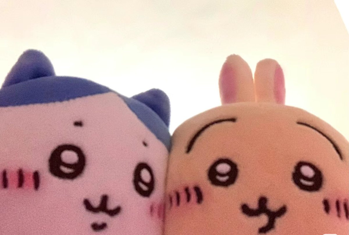 Moonchild tweet media